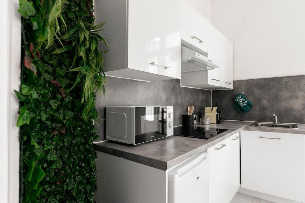 Charmant Studio Arbore Et Climatise Carcassone Kültér fotó