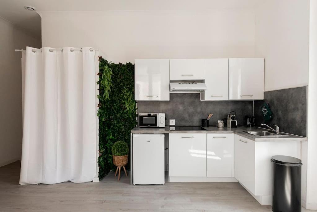 Charmant Studio Arbore Et Climatise Carcassone Kültér fotó